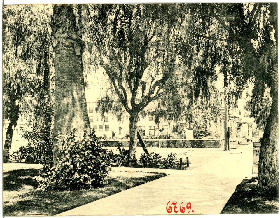 06769--1905--Brück & Sohn Kunstverlag