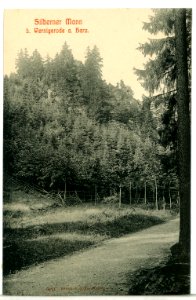 09111-Wernigerode-1907-Silberner Mann-Brück & Sohn Kunstverlag