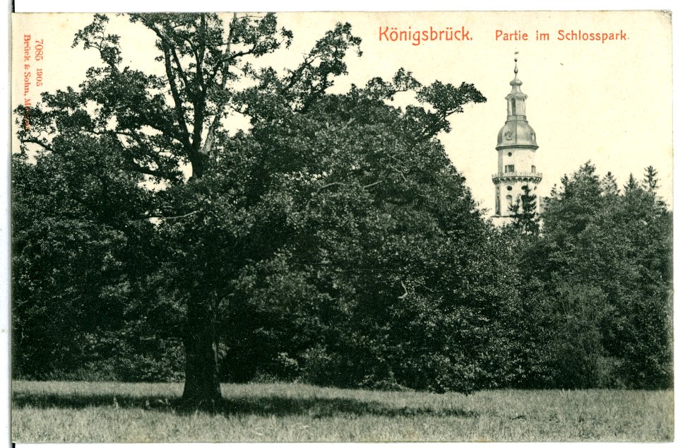 07085-Königsbrück-1906-Im Schloßpark mit Kirchturm-Brück & Sohn Kunstverlag