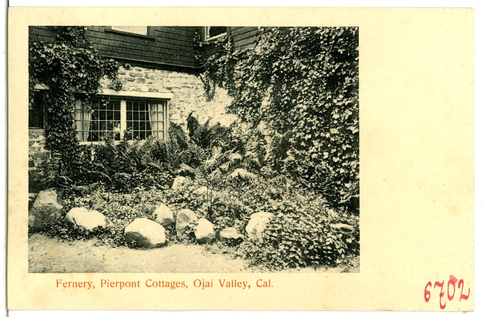 06702-Ojai Valley-1905-Fernery Pierpont Cottages-Brück & Sohn Kunstverlag