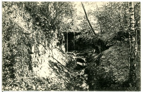 09010-Sangerhausen-1907-Wasserfall im Stadtpark-Brück & Sohn Kunstverlag