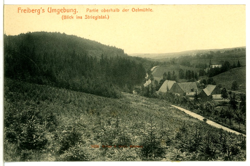 09128-Freiberg-1907-An der Ölmühle - Blick ins Striegistal-Brück & Sohn Kunstverlag