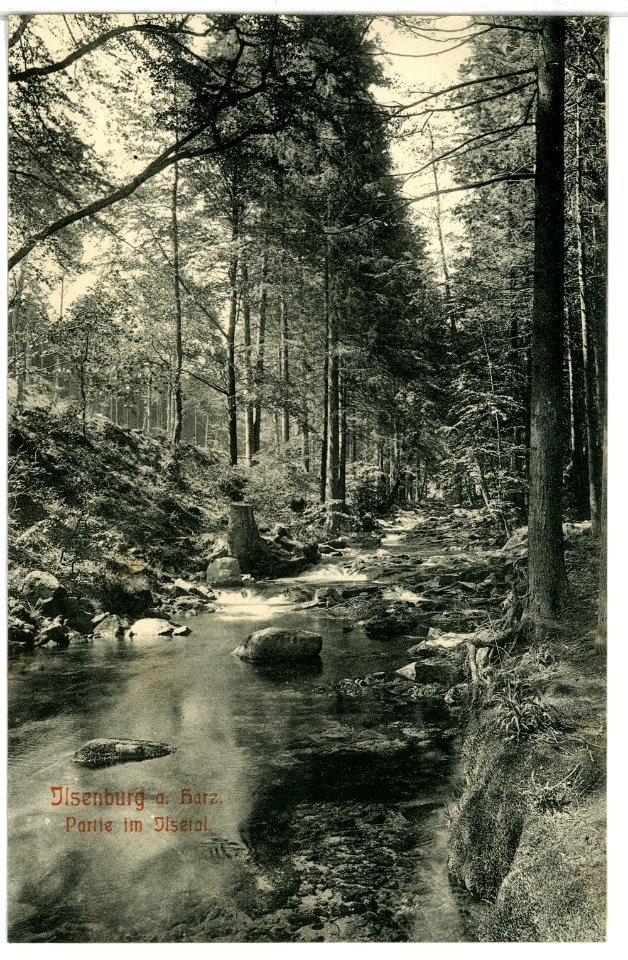 09150-Ilsenburg-1907-Ilsetal-Brück & Sohn Kunstverlag
