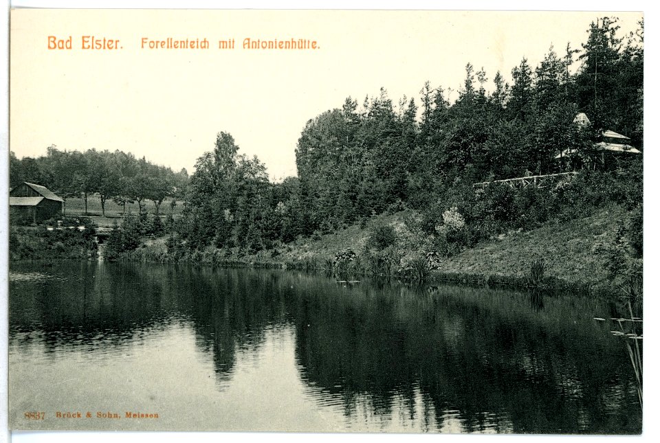 08837-Bad Elster-1907-Forellenteich mit Antonienhütte-Brück & Sohn Kunstverlag