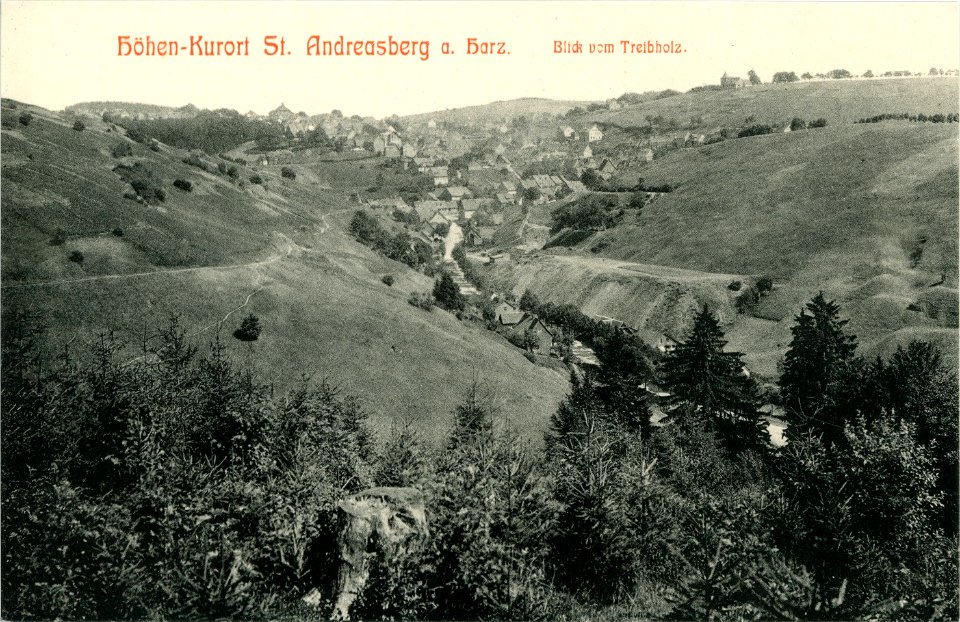 09203-St. Andreasberg-1907-Blick vom Treibholz-Brück & Sohn Kunstverlag