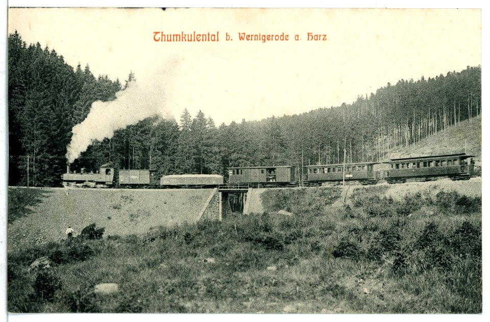 09109-Wernigerode-1907-Thumkulental mit Personenzug-Brück & Sohn Kunstverlag