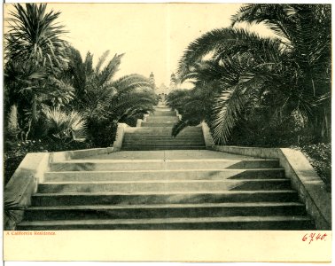 06740-Kalifornien-1905-A California Residence-Brück & Sohn Kunstverlag