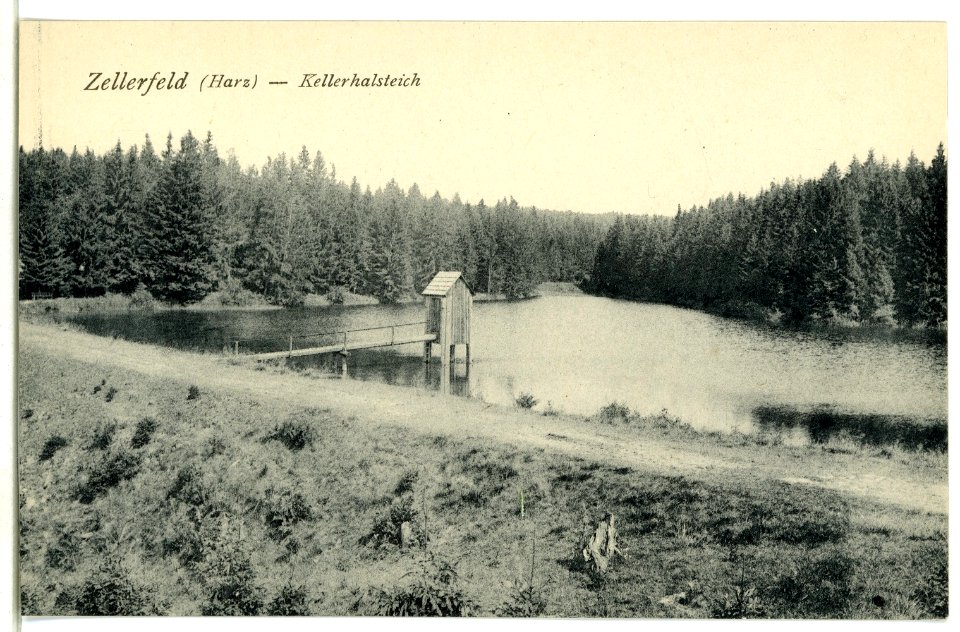 09268-Zellerfeld-1907-Kellerhalsteich-Brück & Sohn Kunstverlag