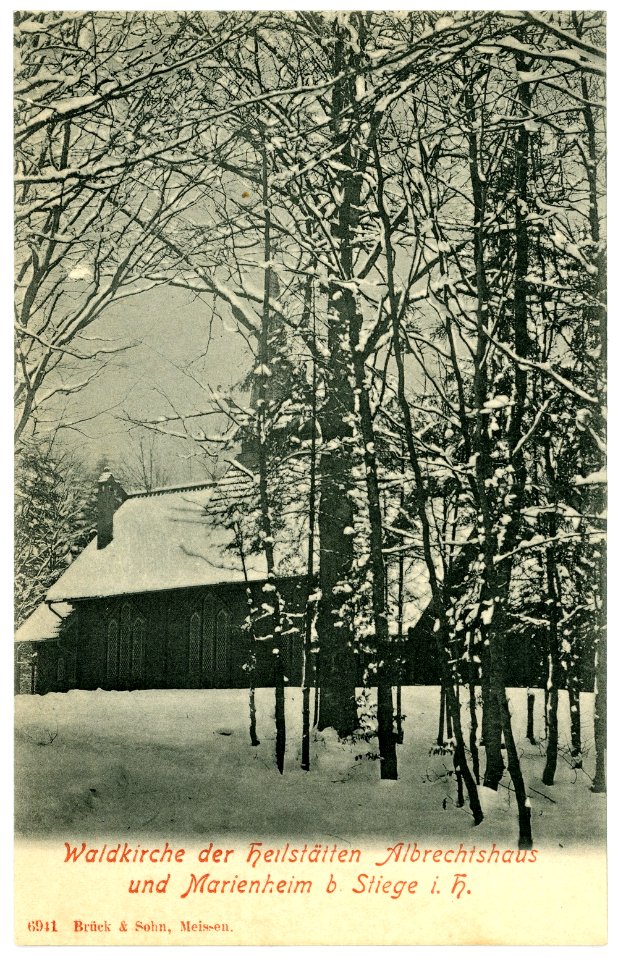 06941-Stiege-1906-Waldkirche der Heilstätten Albrechtsheim und Marienheim-Brück & Sohn Kunstverlag