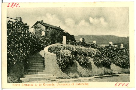 06844-Kalifornien-1905-North Entrance to to Grounds, University of California-Brück & Sohn Kunstverlag photo