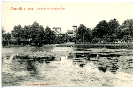 09256-Osterode-Harz-1907-Pferdeteich mit Realgymnasium-Brück & Sohn Kunstverlag