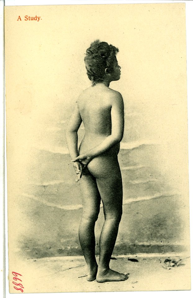 06688--1905-A Study-Brück & Sohn Kunstverlag