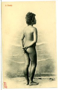 06688--1905-A Study-Brück & Sohn Kunstverlag