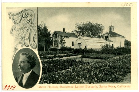 06865-Santa Rosa-1905-Green Houses, Residence Luther Burbank-Brück & Sohn Kunstverlag photo