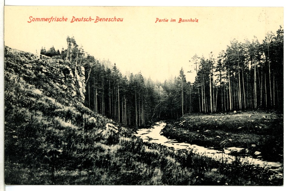 08968-Beneschau-1907-Im Bannholz-Brück & Sohn Kunstverlag