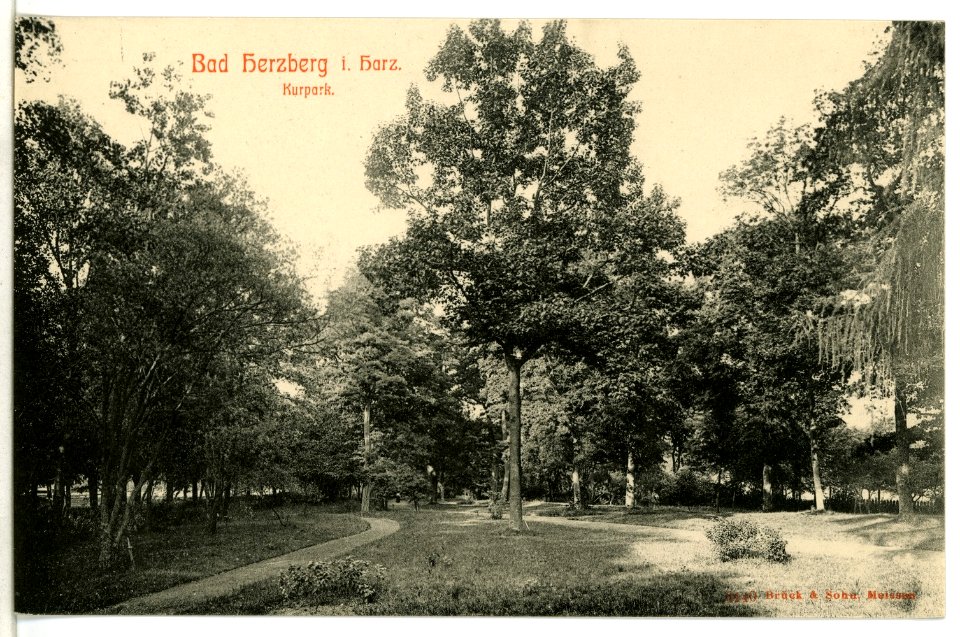 09140-Bad Herzberg-1907-Kurpark-Brück & Sohn Kunstverlag