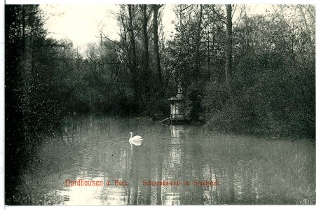 09284-Nordhausen-1907-Schwanenteich im Stadtpark-Brück & Sohn Kunstverlag