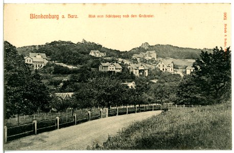 09061-Blankenburg-1907-Blick vom Schloßweg nach dem Großvater-Brück & Sohn Kunstverlag