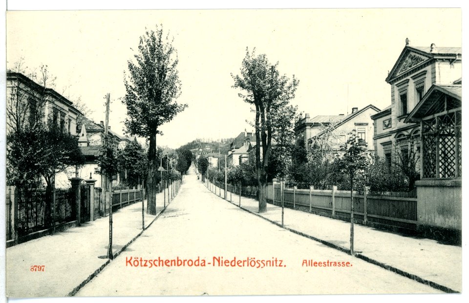 08797-Kötzschenbroda-1907-Alleestraße-Brück & Sohn Kunstverlag
