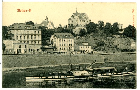 09050-Meißen-1907-Blick zum Ratsweinberg-Elbe mit Dampfer Saxonia-Brück & Sohn Kunstverlag