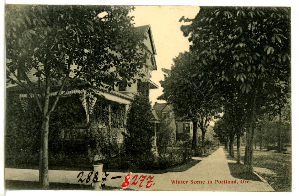 08277-Portland, Ore.-1906-Winter Scene-Brück & Sohn Kunstverlag