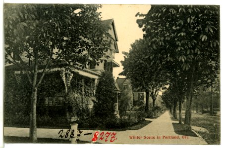 08277-Portland, Ore.-1906-Winter Scene-Brück & Sohn Kunstverlag