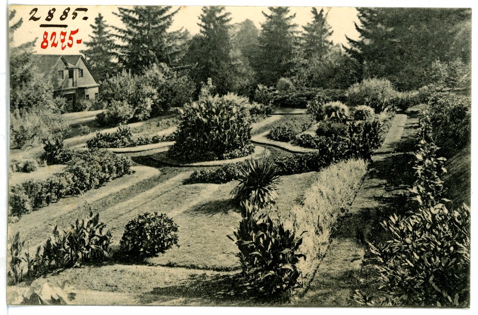 08275-Portland, Ore.-1906-Sunken Garden-Brück & Sohn Kunstverlag