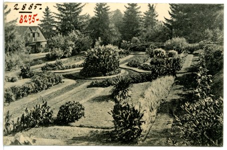 08275-Portland, Ore.-1906-Sunken Garden-Brück & Sohn Kunstverlag