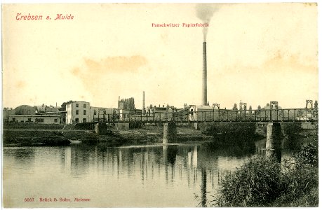 08067-Trebsen-1906-Panschwitzer Papierfabrik-Brück & Sohn Kunstverlag