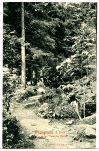 09112-Wernigerode-1907-Partie an der steinernen Rinne-Brück & Sohn Kunstverlag