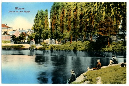 09447-Wurzen-1908-An der Mulde-Brück & Sohn Kunstverlag