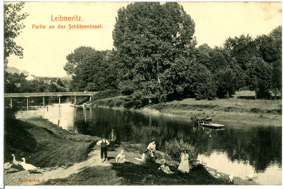 09418-Leitmeritz-1908-Partie an der Schützeninsel-Brück & Sohn Kunstverlag