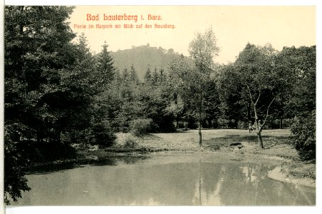 09167-Bad Lauterberg-1907-Kurpark - Blick auf den Hausberg-Brück & Sohn Kunstverlag