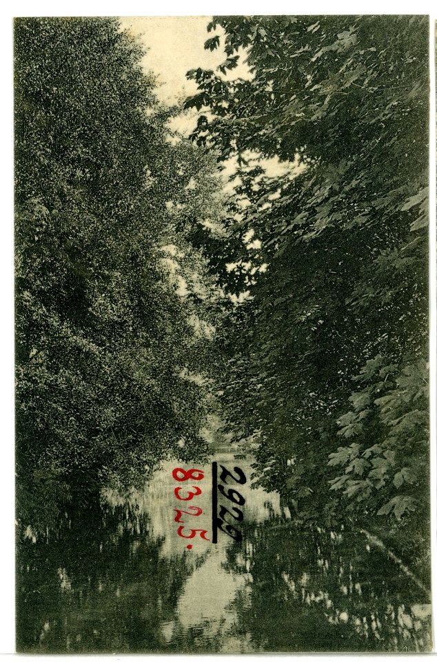 08325-Eugene, Ore.-1906-A Mill Race Vista-Brück & Sohn Kunstverlag
