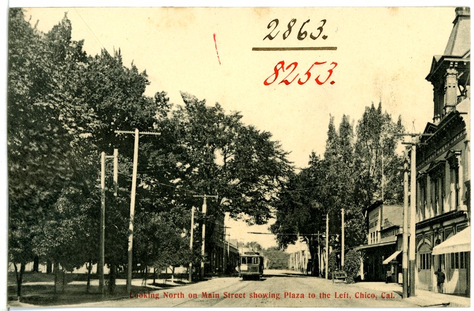08253-Chico, Cal.-1906-Looking North on main Street Showing Plaza to the Left-Brück & Sohn Kunstverlag