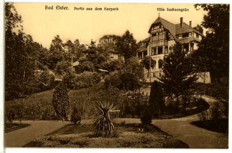 08905-Bad Elster-1907-Kurpark, Villa Sachsengrün-Brück & Sohn Kunstverlag