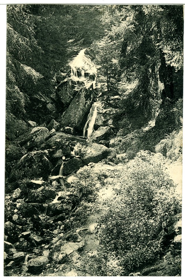 09113-Wernigerode-1907-Wasserfall an der Kleinen Renne-Brück & Sohn Kunstverlag