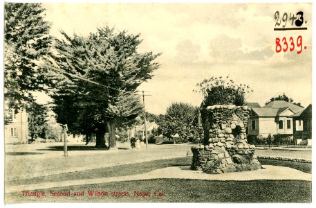08339-Napa, Cal.-1906-Triangle, Second and Wilson streets-Brück & Sohn Kunstverlag