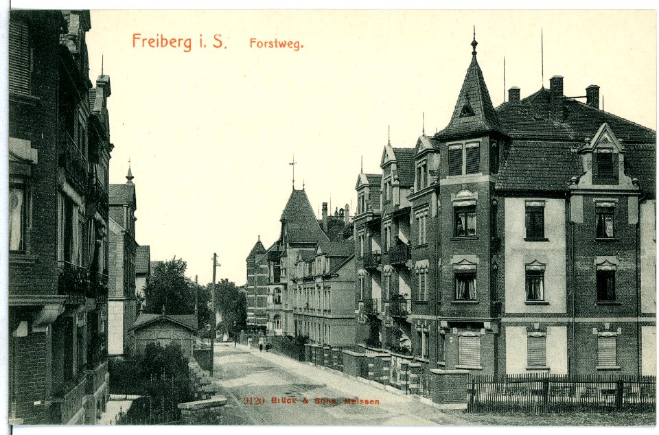 09120-Freiberg-1907-Forstweg-Brück & Sohn Kunstverlag