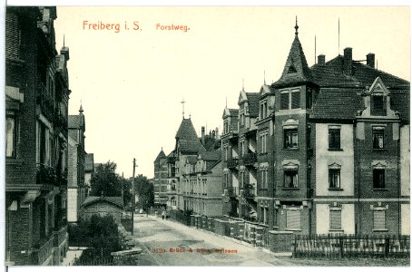 09120-Freiberg-1907-Forstweg-Brück & Sohn Kunstverlag