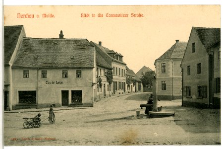 09498-Nerchau-1908-Blick in die Cannewitzer Straße-Brück & Sohn Kunstverlag