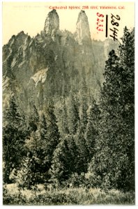 08233-Yosemite-1906-Cathedral Spires-Brück & Sohn Kunstverlag