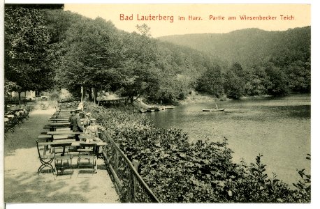 09174-Bad Lauterberg-1907-Wiesenbecker - Teich-Brück & Sohn Kunstverlag