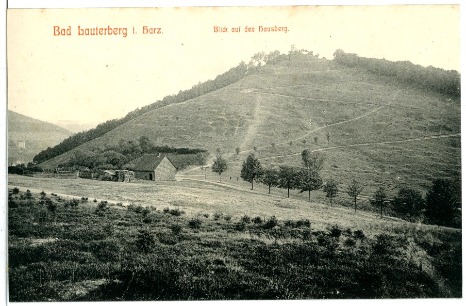 09175-Bad Lauterberg-1907-Blick auf den Hausberg-Brück & Sohn Kunstverlag
