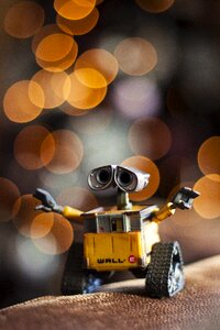 Walle photograph brown bokeh