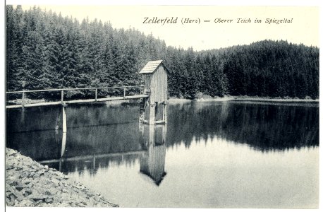 09269-Zellerfeld-1907-Oberer Teich im Spiegeltal-Brück & Sohn Kunstverlag