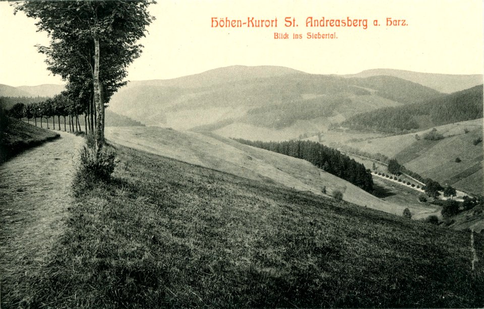 09202-St. Andreasberg-1907-Blick ins Siebertal-Brück & Sohn Kunstverlag