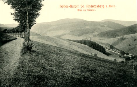 09202-St. Andreasberg-1907-Blick ins Siebertal-Brück & Sohn Kunstverlag