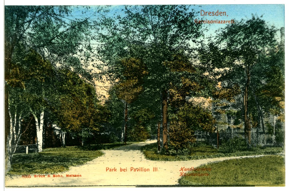 08035-Dresden-1906-Garnisonslazarett - Park bei Pavillon III-Brück & Sohn Kunstverlag