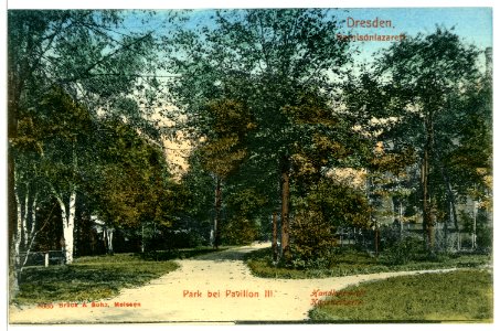 08035-Dresden-1906-Garnisonslazarett - Park bei Pavillon III-Brück & Sohn Kunstverlag